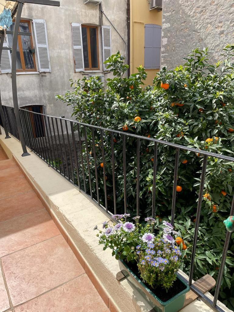 Appartements Climatises - Vieil Antibes Exteriör bild